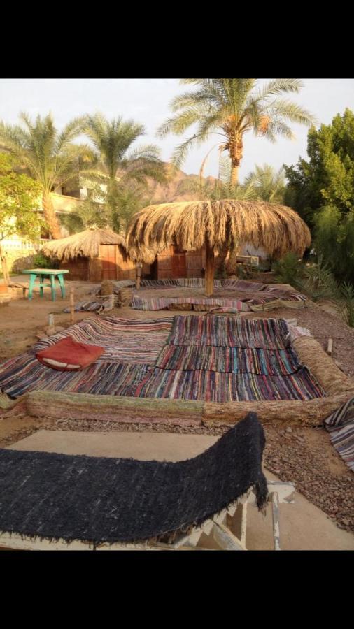 Elbadawy Camp Hotel Nuweiba Luaran gambar